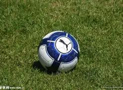 斯塔姆,虽不认同,罗为最优秀,太阳城,太阳城娱乐,太阳城app,太阳城赌场